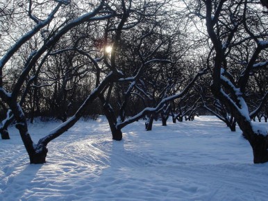 ������ �� �����: ��� ������ � ������������� �������� � �������