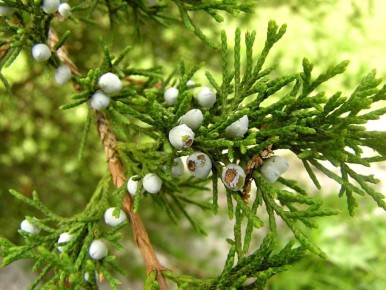 ���������� ������� � ��������� ��� ����: ��������� ����� ��� ������� ��������