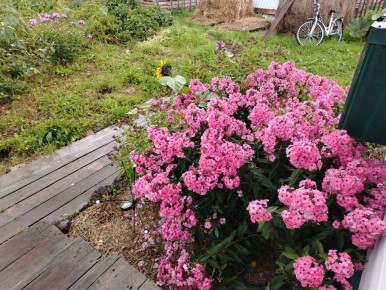 ��� ��������� ������ ���������� �� ���������� ������������ � ��������