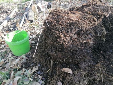 ��� ��������� ��������� ������� �������: ������� � ������� ������