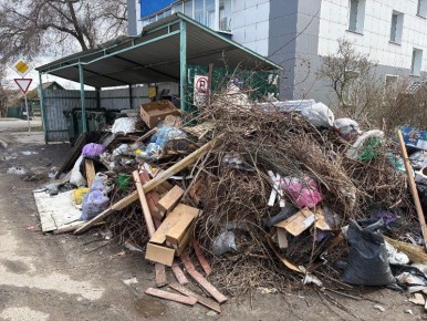 Наиболее проблемная обстановка с вывозом растительного мусора сложилась в Мичуринске, Инжавине и Уварове