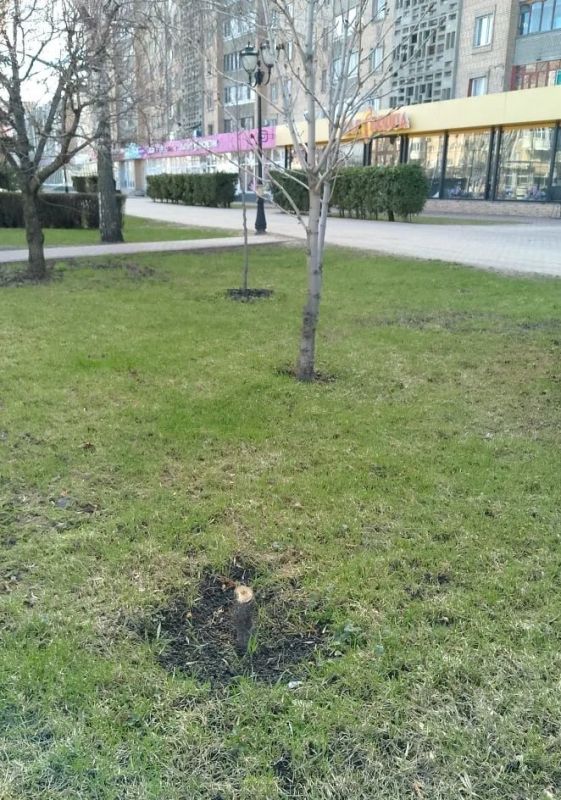 � ������ ������� ����������� ��������� �������� 5 ������������� �������