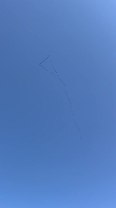 ����������� �����. ��-����� "���� ������"