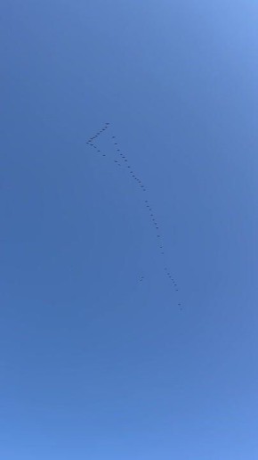 ����������� �����. ��-����� "���� ������"