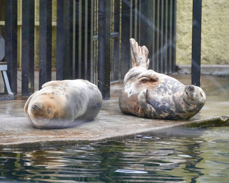 ����� ������ ������ �� ������ �������, � � ����� ������� ��� ����� �����