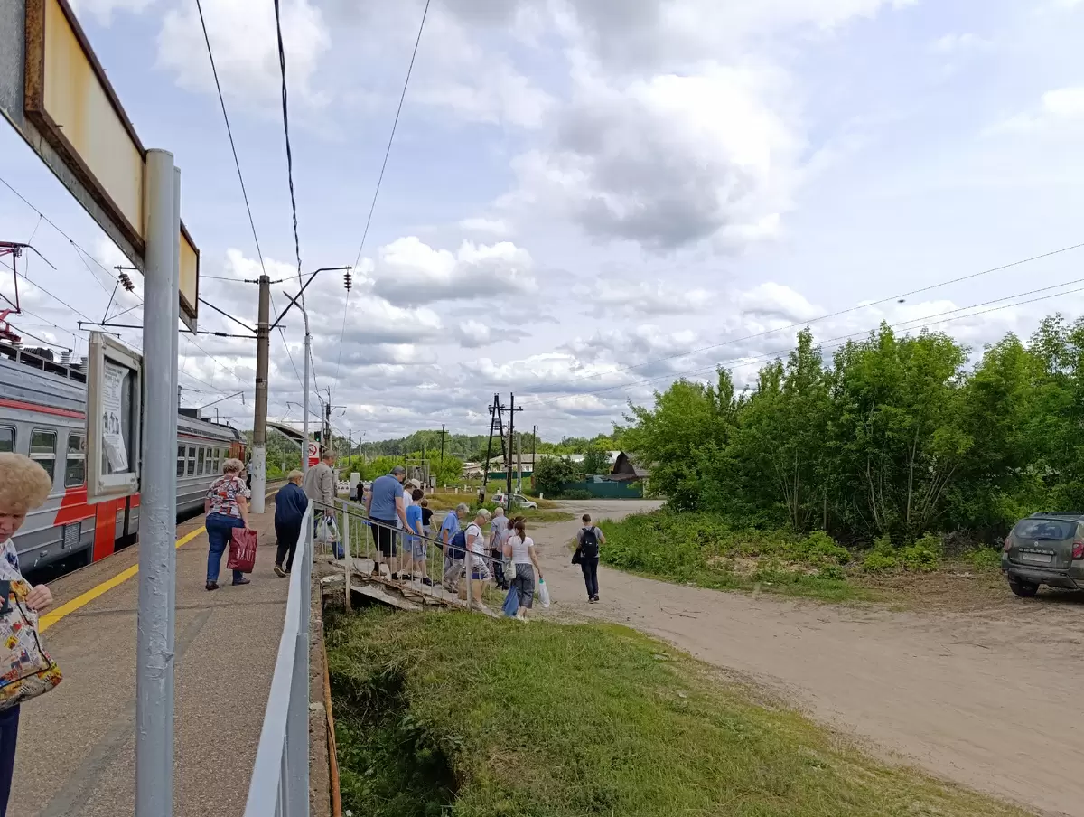 Как природа радует дачников: сбор урожая и новые посадки на выходных