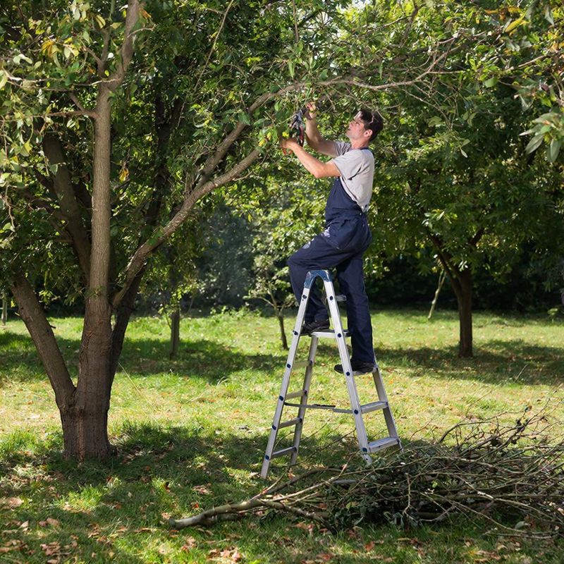 ������ ������� �� ���������� ����: ������� ������� �� ������� �������