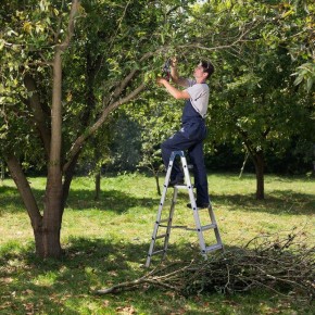 ������ ������� �� ���������� ����: ������� ������� �� ������� �������