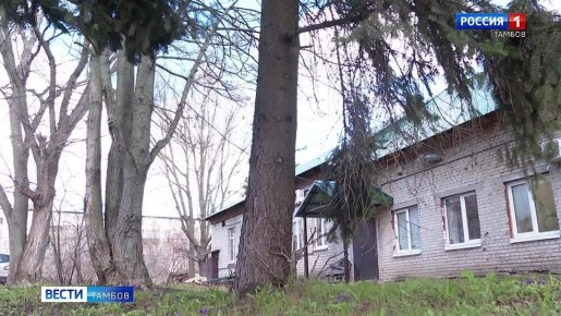 С приходом весны просыпаются клещи