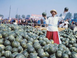 ������ ������ ���������� ������� ���� ��������, �� �������