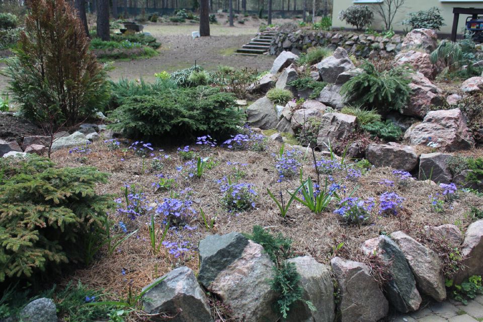 ����������� �������: �������� ������ � ����