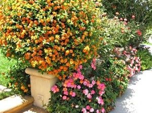 �������������� ����: ��� ������� ��������� ����� ��� ������ ����