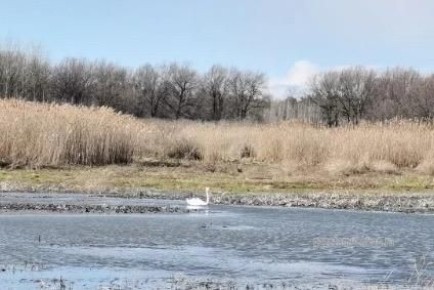 �� ���������� ���� ��������� ����� ������