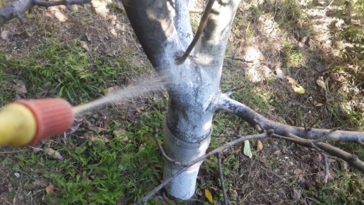 ��������� ���� ������: ������ �� ���������� � ��������