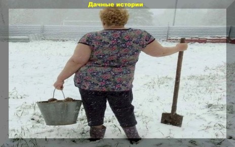 ������ �� ������� ���������: ������� �������� ������