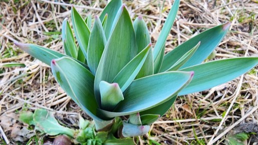 ����� �� ����: ������ �������� ����� �� �������