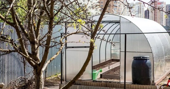 �������� ����� ��� �������: ��� ����������� � � ������ ������