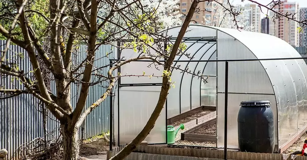 Весенний старт для теплицы: как подготовить её к новому сезону