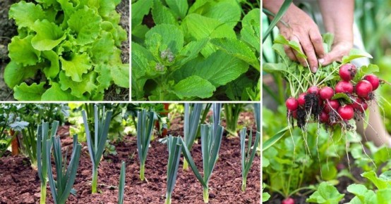 �������� ������� ����������: ��� ������ ��� �������� ������