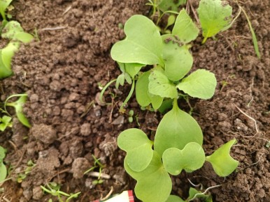 ��� ���� � ������: � �������, � ������� � �� ������� ����