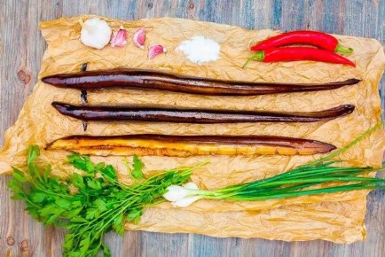 �������� �����: ������� ���������� �������� ����