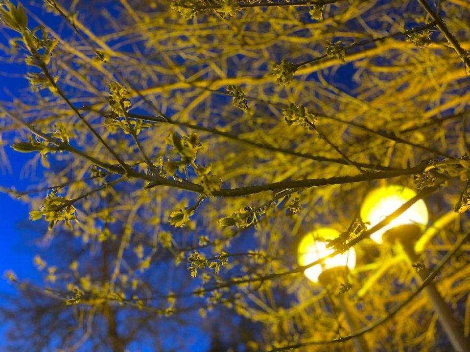 ������� � ���� �� 17 ������: