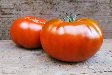 ����� ������ �����: ������� ����� � ��������������� ����