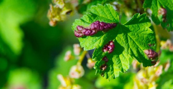 ��� �������� ��������� �� ��� � ��������� ������� ������