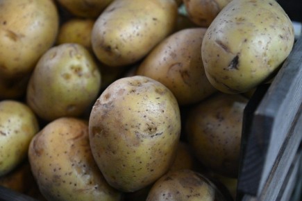 ��� ������ ������������� � ��������������� ���������