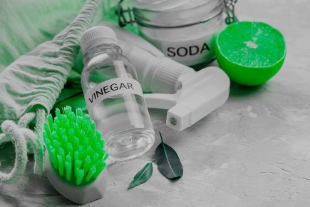 ������� ���������: ������ ����� � ������ � ��� ������������� �� � ����� ����