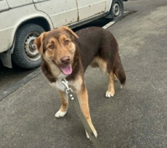 ���� �����: ���� ���� ���. ������� �� ���� � ��������� ���������� ������� ���� �����