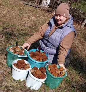 ������ �������� ����� �������� ����������