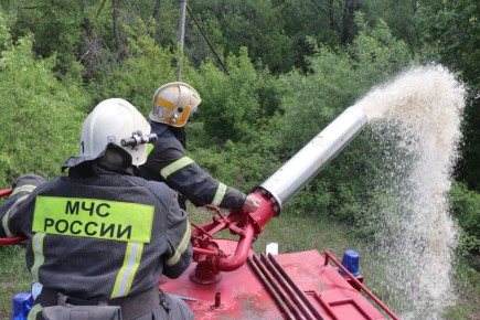 ������� ����� �������, ����� ��������