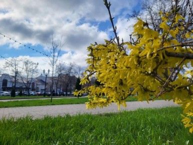 ������ ����, ����� � ��������!