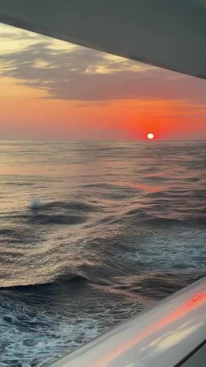 ������ �������� ���������