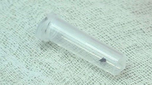 � ���������� ������� ����� �������� ��� 221 ��������