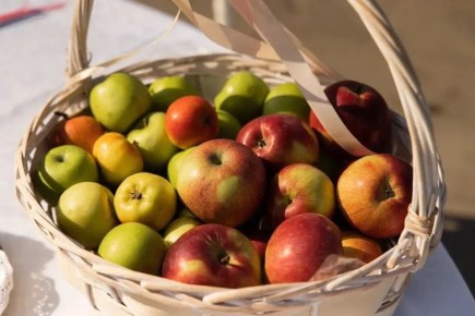 � ������������ ������� ������� �������� ���������� �������� �� �������������� �������� ��� ����������� � ���������� ���������� �����������