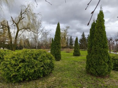 ����� ������� ����� �������� �����������: ��������� � ������ � ���������� �������