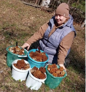 ������ ���������� ������� �������� ������ �������� �����