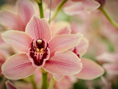 ��� �������� �������� � ������� �������: ������ �� �����