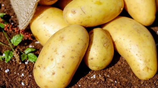 ����������� ���������������� ���������� � ���������� ���������� ��������� � �������