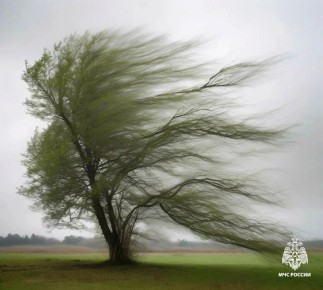 �������� �����. �� ������ ����������� ���� ����� � ���� 27 ������ �� ���������� ���������� ������� ��������� ������ ���-��������� ����� �� 15-20 �/�