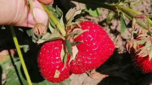 ��� ��������� �������� ����� �������� ������� �������� ������� ������