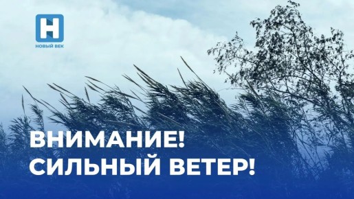 ���: ���� 28 ������ �� ���������� ���������� ������� ��������� ������� ����� �� 15-20 �/�