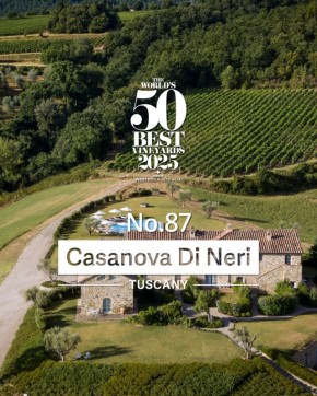 �������� �������������� ��������� Casanova di Neri: ��������� � ������� � ������ ������