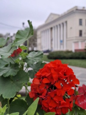 �������� ������. ����� ���������/�� "�������� ������" �� � MAX