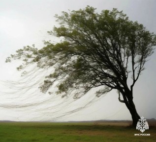 ������ ��������� ������ �����