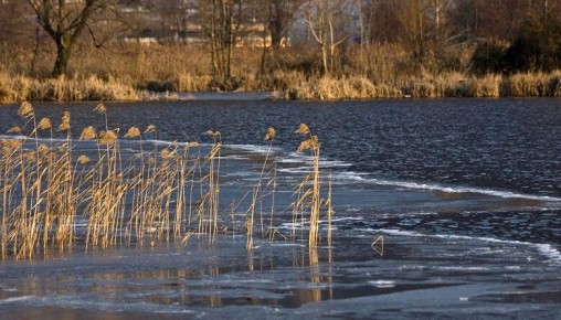 � ���������� ������� ��������� ������� ���� � �����