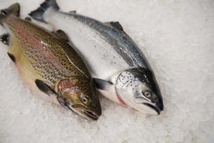 ��� ��������� ������ �� ������: ��������� ������� D