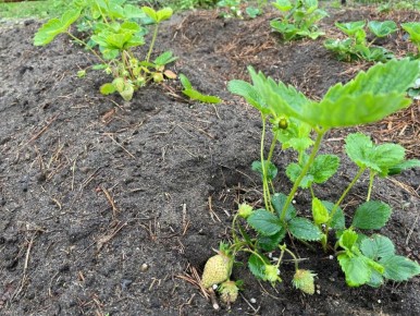 ������� ��������� ������ �������� ����